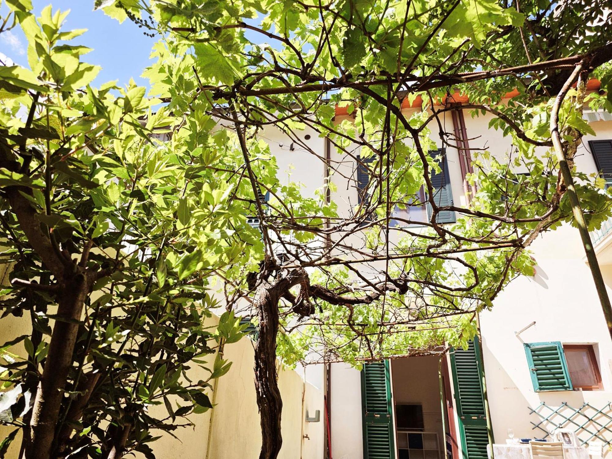 Alice'S Garden Apartman Firenze Kültér fotó